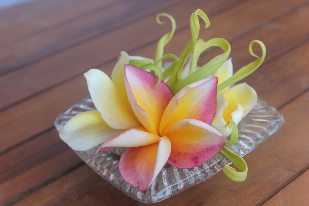 Donald Home Stay Ubud Kültér fotó